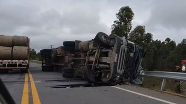 Camión que transportaba ganado volcó en ruta 6; algunos animales murieron y el chofer debió ser rescatado