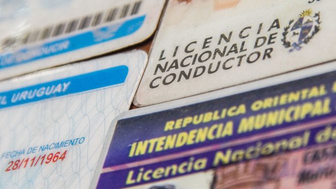 Trabajan en solución para libretas de conducir vencidas