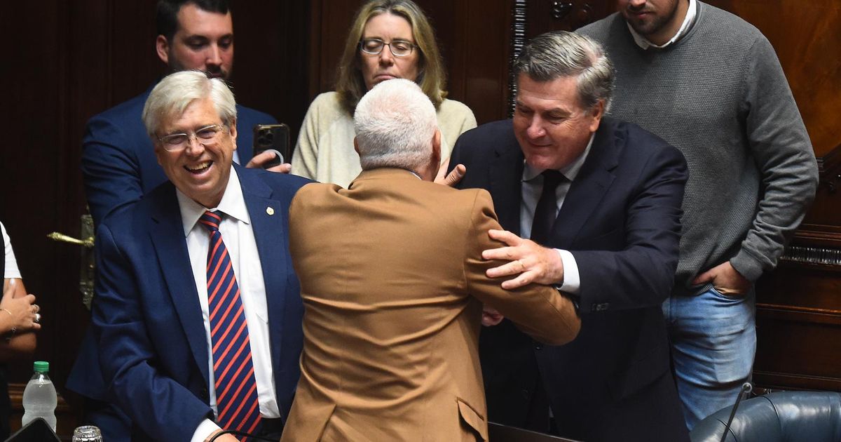 Interpelación a Carlos Negro: 