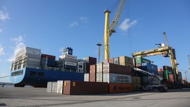 Puerto de Montevideo incorporará accesos automatizados para dar más agilidad al ingreso a la terminal / FocoUy