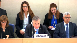 Uruguay en la ONU: foco en cárceles y violencia de género&nbsp;