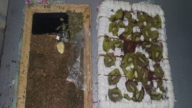 Intentó ingresar droga a la cárcel en una torta y fue formalizado