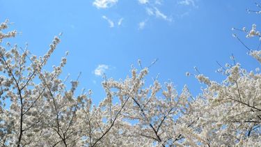 Lunes según Inumet.