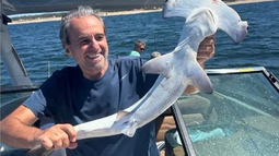 Remo Monzeglio se autodenunció ante MGAP y Ambiente tras publicar foto de pesca con tiburón martillo