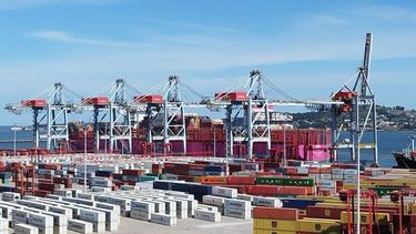 Exportaciones uruguayas crecieron 7% en marzo impulsadas por carne, celulosa y lácteos