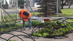 Más de 160.000 personas se inscribieron a programa de empleo Uruguay Impulsa, que tiene unos 5.500 cupos