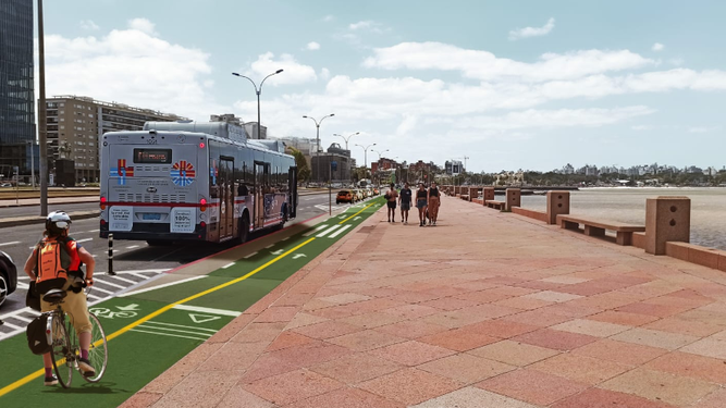 Desde la Intendencia de Montevideo piden tranquilidad a los ciclistas | Intendencia de Montevideo