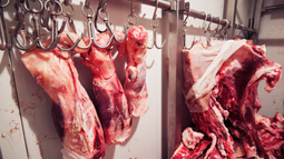 Incautación de carne de abigeato.&nbsp;