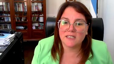 Caso Camila: la fiscal argentina confirmó que la niña está bien y explicó que cruzó la frontera caminando