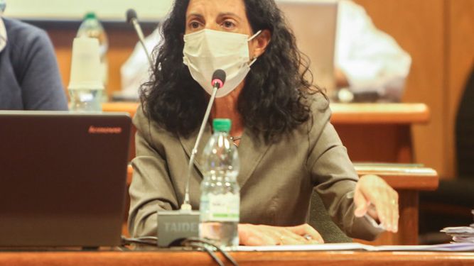 Arbeleche volverá al Parlamento por aumento de tope de deuda