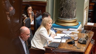 Polémica en el Senado por declaración sobre Cuba: la oposición se fue de sala y FA votó por unanimidad