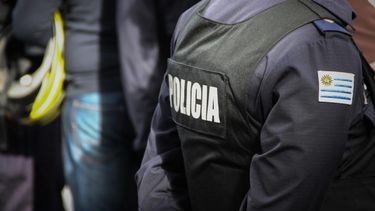 Una mujer agredió a un comerciante, hurtó mercadería y marchó presa