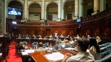 El Senado aprobó por unanimidad el acuerdo de comercio entre el Mercosur y la Unión Europea