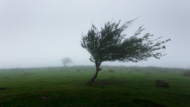 Alerta por vientos y tormentas en Canelones.&nbsp;