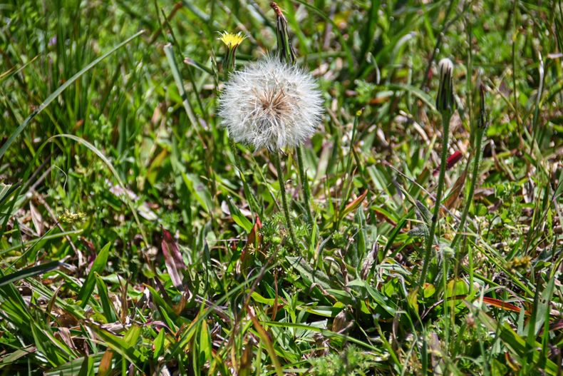 Inumet prevé un martes sin lluvias y con cielo claro en buena parte del país