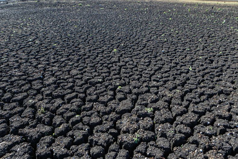 Declararon emergencia agropecuaria por 90 días por déficit hídrico en diez departamentos
