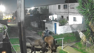 Otra rapiña del delincuente a caballo: robó la moto de un delivery y abandonó en la escena a dos animales