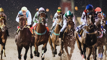 Toda la emoción del Gran Premio Ramírez: este martes, diez caballos irán por el mayor título del turf local