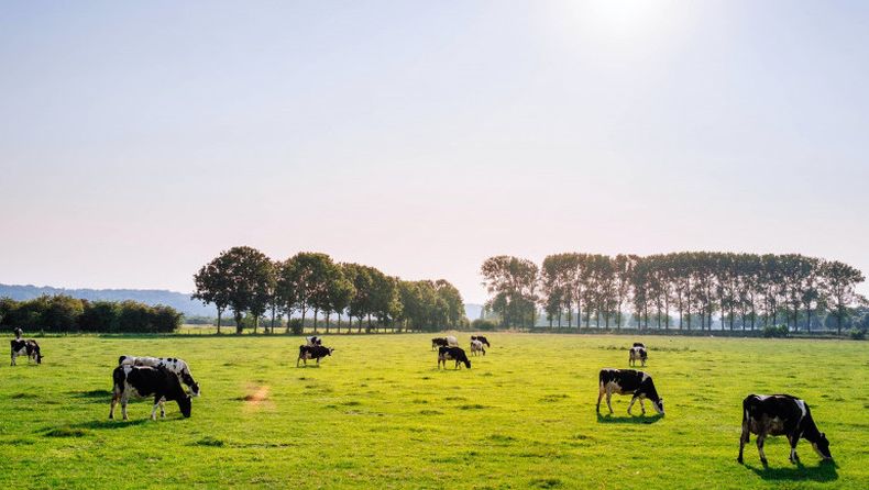 Colonización otorga territorio a Agremiación de Tamberos de Canelones