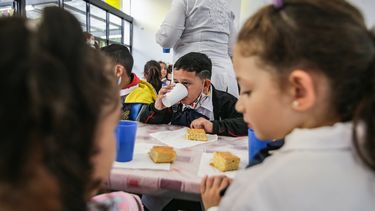 Poder Ejecutivo evalúa declarar esencialidad en alimentación escolar