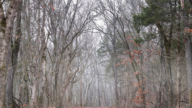 Martes según Inumet.