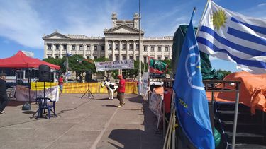 Carpa del Pit-Cnt frente al Parlamento en contra de la reforma de la seguridad social.