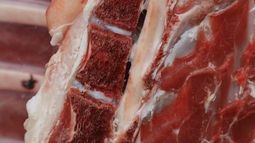 Para Alfredo Fratti, el anuncio de China de aranceles a las carnes uruguayas es una muy buena noticia