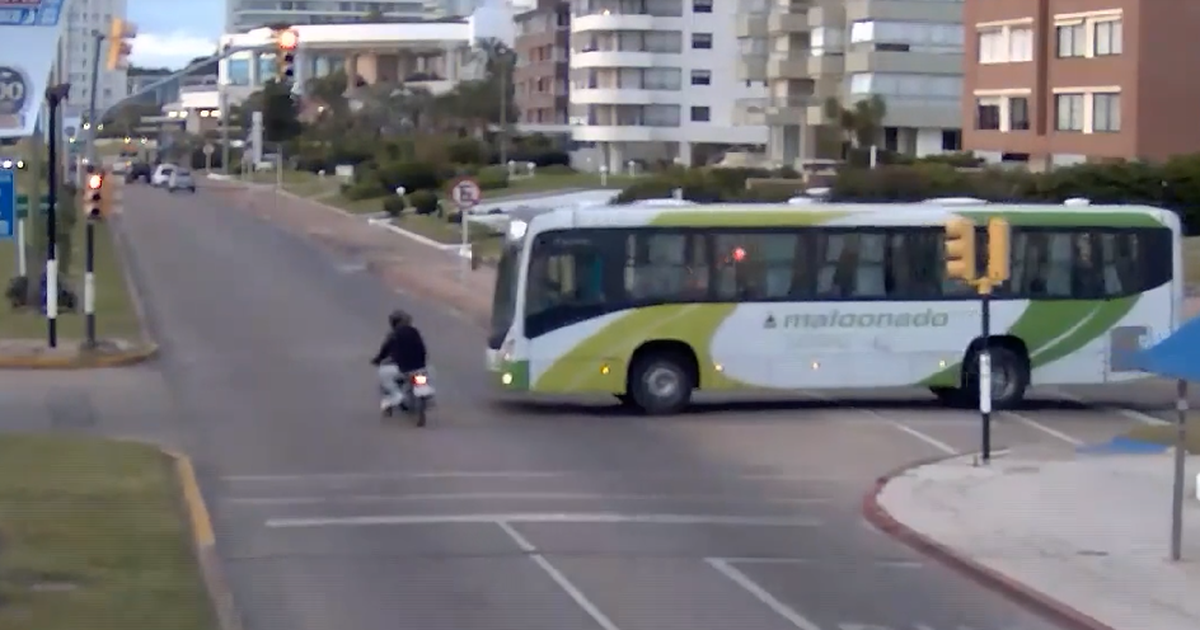 Semáforos en rojo y maniobras imprudentes: la Intendencia de Maldonado apela a videos para concientizar