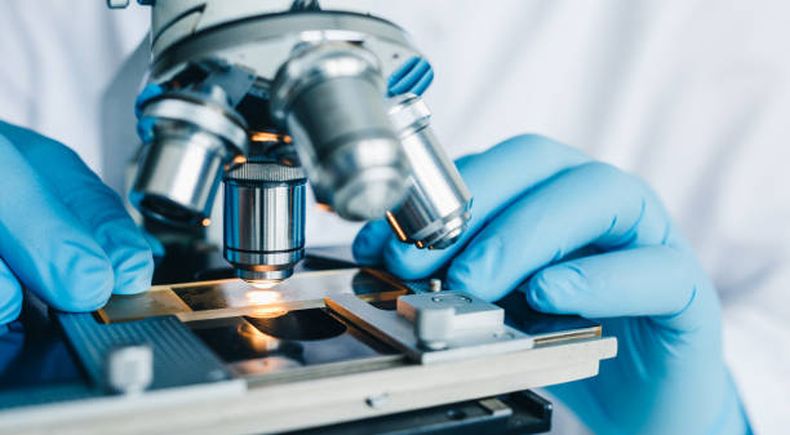 Presupuesto, ciencia y conocimiento.&nbsp;
