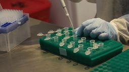 Beneficiarios del Mides donarán plasma en Canelones