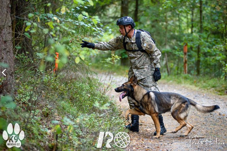perros_k9-5