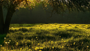 Jueves según Inumet.&nbsp;