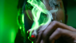 Ventas récord de marihuana en Uruguay mientras expertos advierten sobre efectos cerebrales