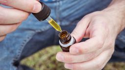El gobierno habilitó la exportación de cáñamo y cannabis medicinal