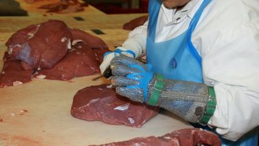 Reabrirá el Frigorífico Canelones y 600 personas volverán a trabajar