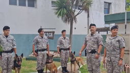 Tres perros de la Policía fueron retirados del servicio y adoptados por familias