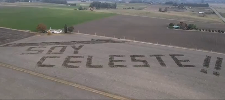 El mensaje de un productor rural en su campo en Nueva Helvecia.