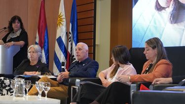 Día Internacional contra la Violencia hacia las Mujeres, este año con énfasis en la violencia vicaria