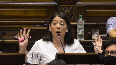 Frente Amplio realizará pedido de informes por detención de persona en situación de calle