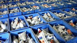 Trabajadores de la industria láctea paran todo el día este martes