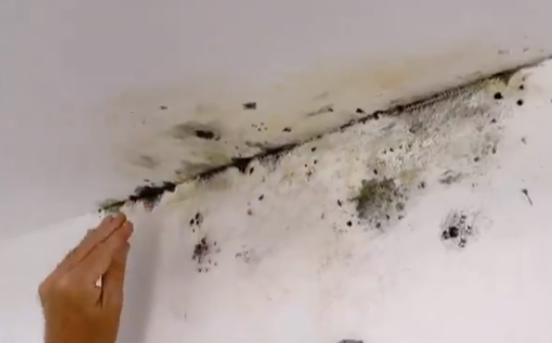 ¿Cómo luchar con las manchas de humedad de las viviendas?