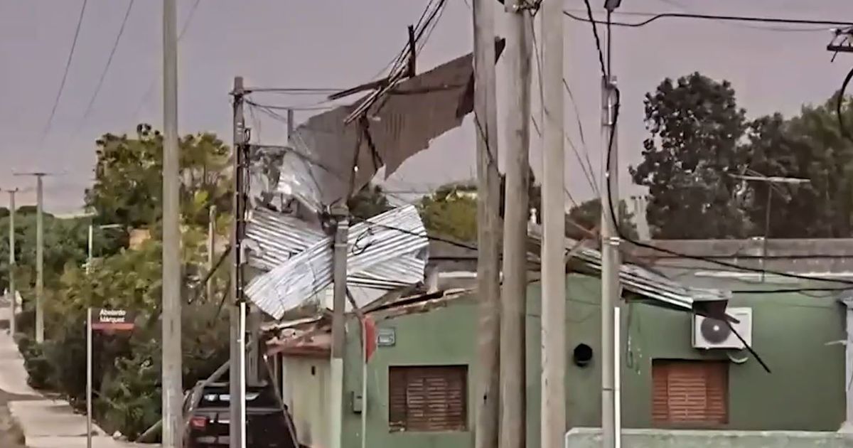 Temporal provocó destrozos en Rivera: hubo voladuras de techos y caída de árboles