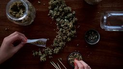 Farmacias comenzaron a vender cannabis con más THC