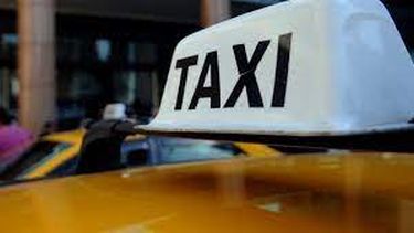 Pasajeros de taxi podrán viajar con sus mascotas