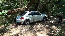 Tragedia en la ruta: dos jóvenes murieron en un siniestro en Colonia