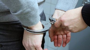 Operación Perico: cayó banda que robaba autos