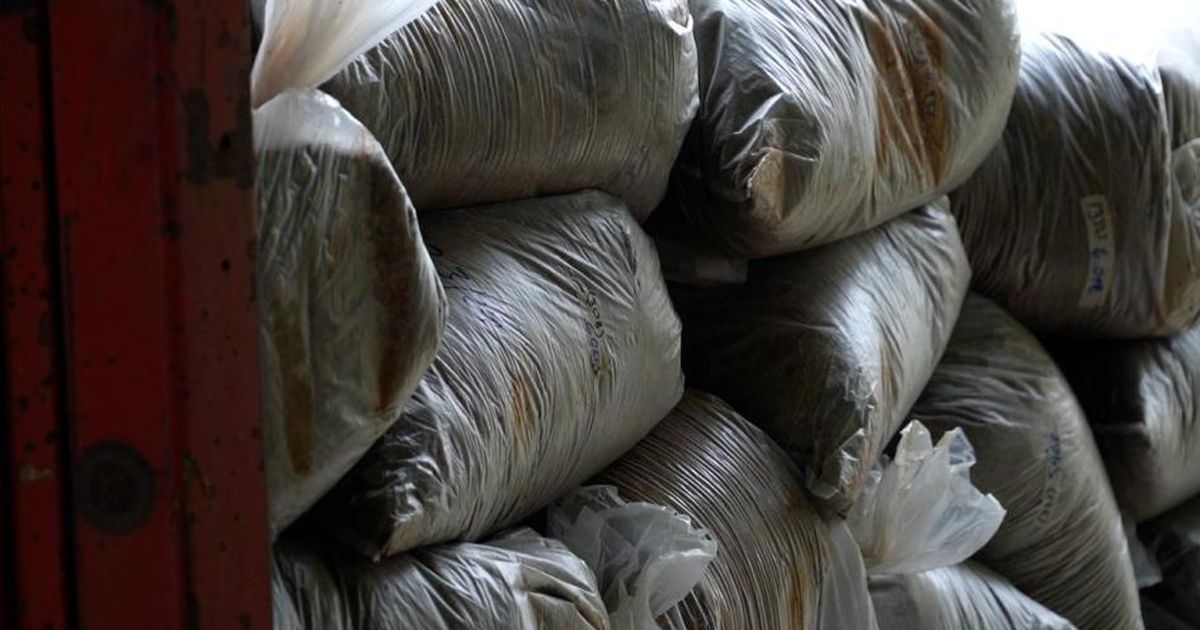 Más de tres toneladas de droga fueron destruidas en un operativo de la ...