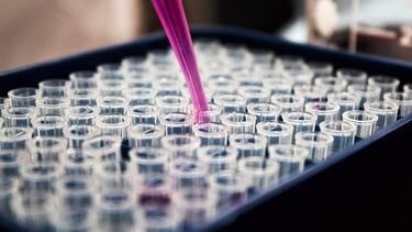rendicion de cuentas preve inversion de u$s 26 millones en ciencia