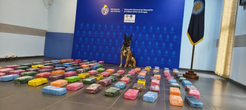 Incautaron 111 ladrillos de pasta base; venían ocultos en una camioneta matriculada en Paraguay