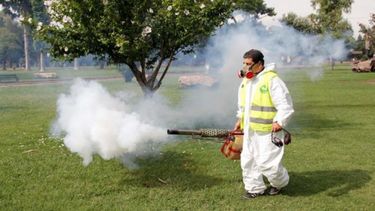 Autoridades en alerta ante casos de dengue.
